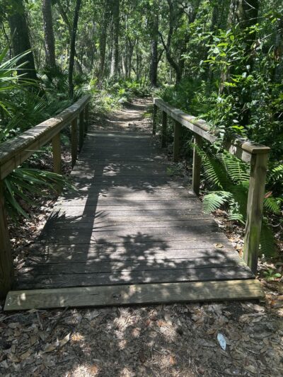 Welaka State Forest Mud Spring Trail - Crescent City, FL