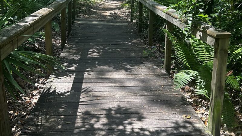 Welaka State Forest Mud Spring Trail - Crescent City, FL