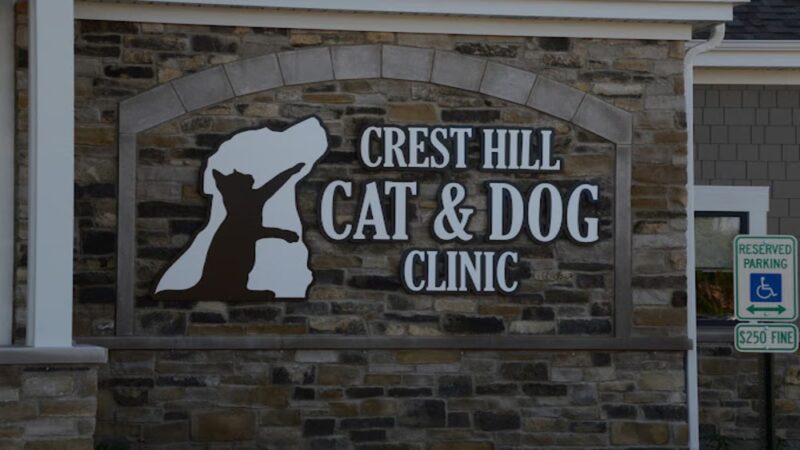 Crest Hill Cat and Dog - Crest Hill, IL
