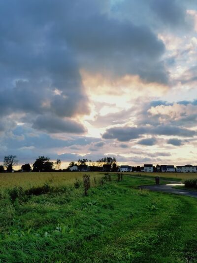 Prairie Bluff Preserve - Crest Hill, IL