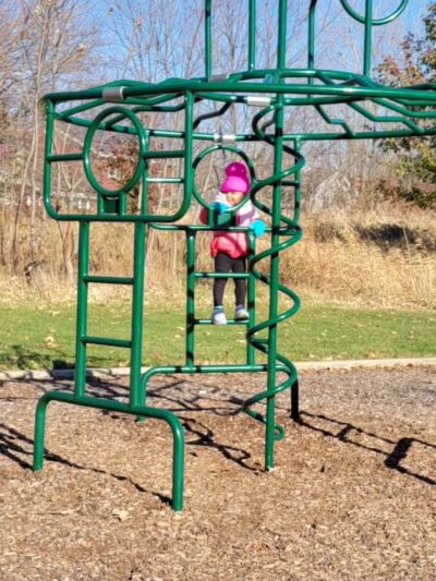 Theodore Marsh - Crest Hill, IL