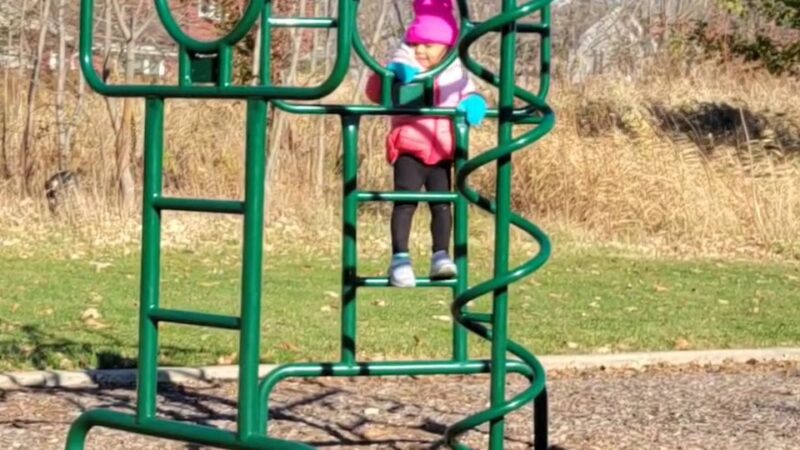 Theodore Marsh - Crest Hill, IL