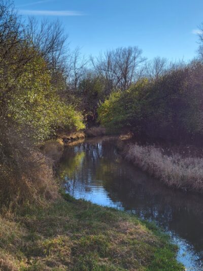 Theodore Marsh - Crest Hill, IL