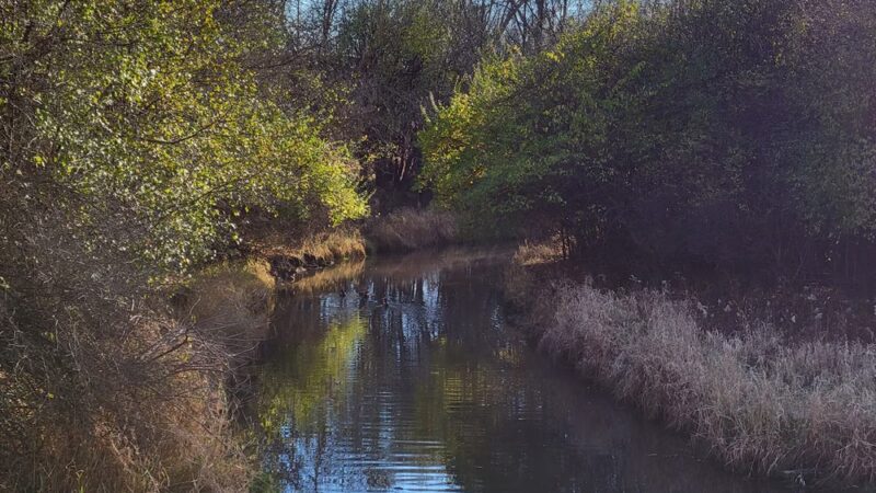 Theodore Marsh - Crest Hill, IL
