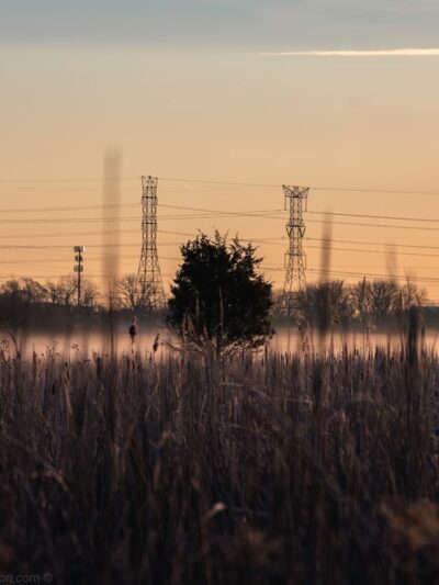Theodore Marsh - Crest Hill, IL