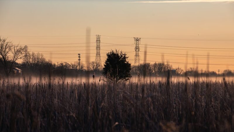 Theodore Marsh - Crest Hill, IL