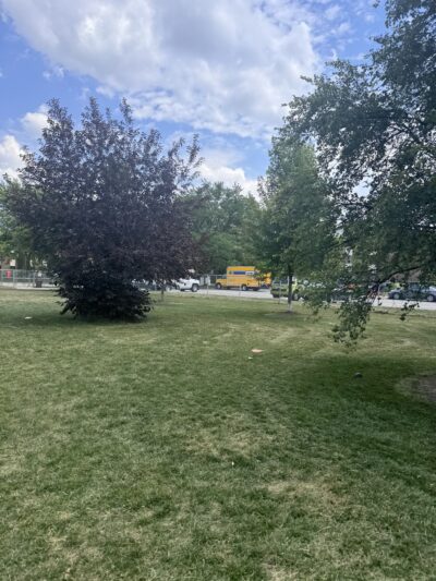 Nancy Benedetto Dog Park - Crestwood, IL