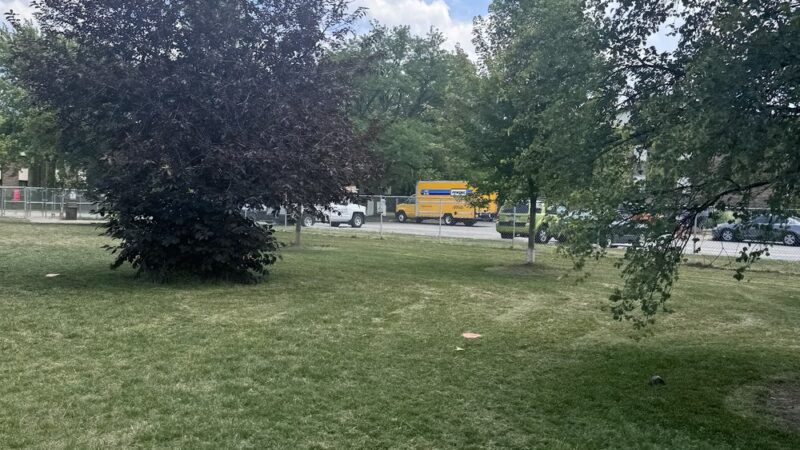 Nancy Benedetto Dog Park - Crestwood, IL