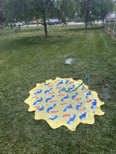 Nancy Benedetto Dog Park - Crestwood, IL