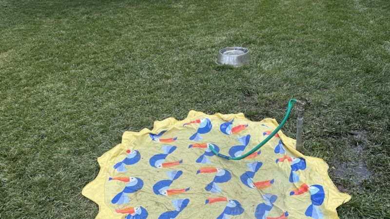 Nancy Benedetto Dog Park - Crestwood, IL