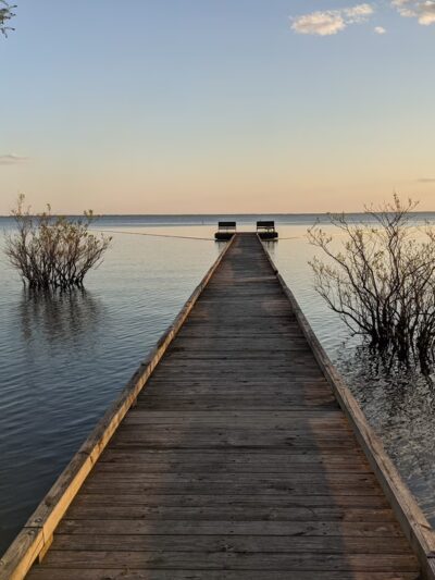 Pettigrew State Park - Creswell, NC