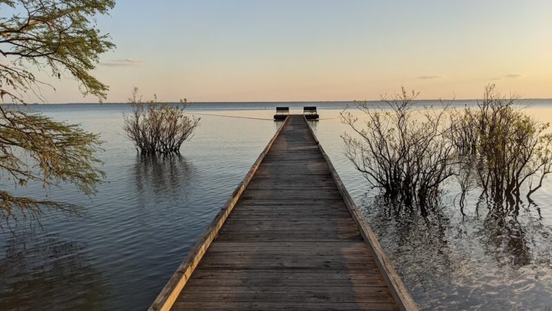 Pettigrew State Park - Creswell, NC