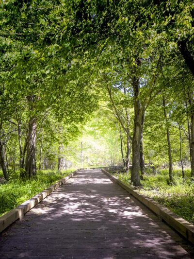 Pettigrew State Park - Creswell, NC