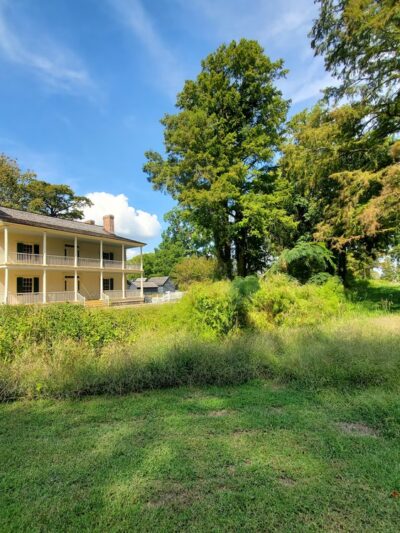 Pettigrew State Park Campground - Creswell, NC