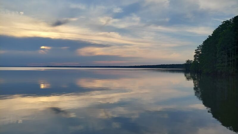Pettigrew State Park Campground - Creswell, NC