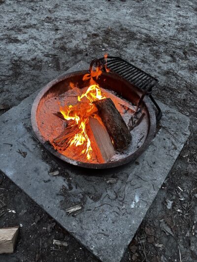 Pettigrew State Park Campground - Creswell, NC