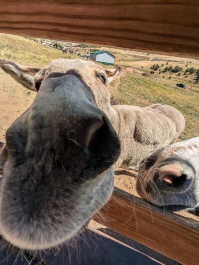 Mountain View Adventure Park - Cripple Creek, CO