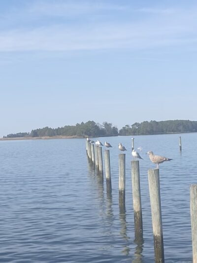 Crisfield’s Wellington Beach - Crisfield, MD