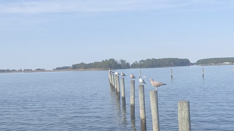 Crisfield’s Wellington Beach - Crisfield, MD