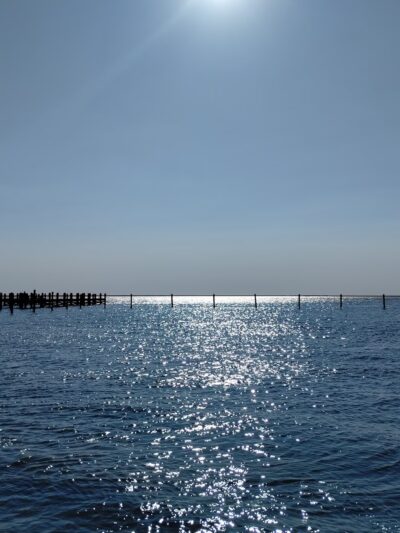 Crisfield’s Wellington Beach - Crisfield, MD