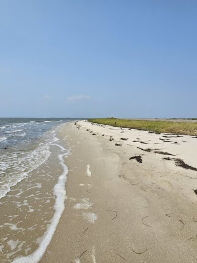 Janes Island State Park - Crisfield, MD
