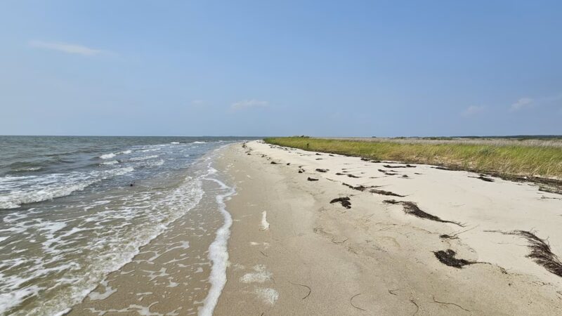 Janes Island State Park - Crisfield, MD