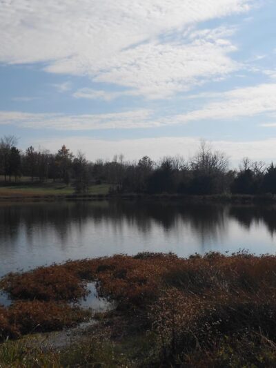 Crocker Community Park - Crocker, MO