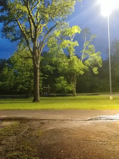 Roadside Picnic Area - Crockett, TX