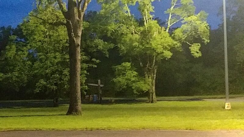 Roadside Picnic Area - Crockett, TX