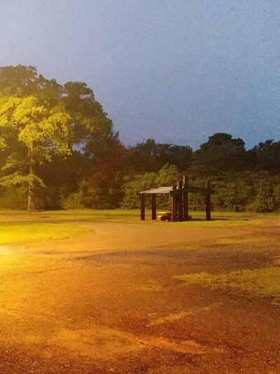 Roadside Picnic Area - Crockett, TX