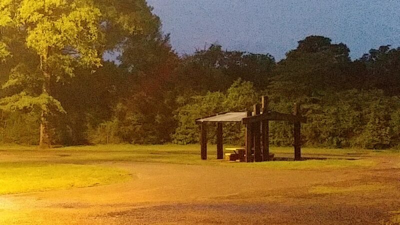 Roadside Picnic Area - Crockett, TX