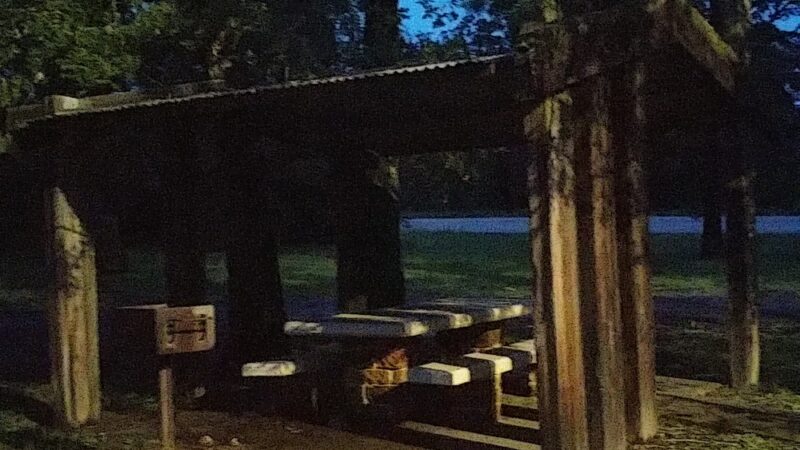 Roadside Picnic Area - Crockett, TX