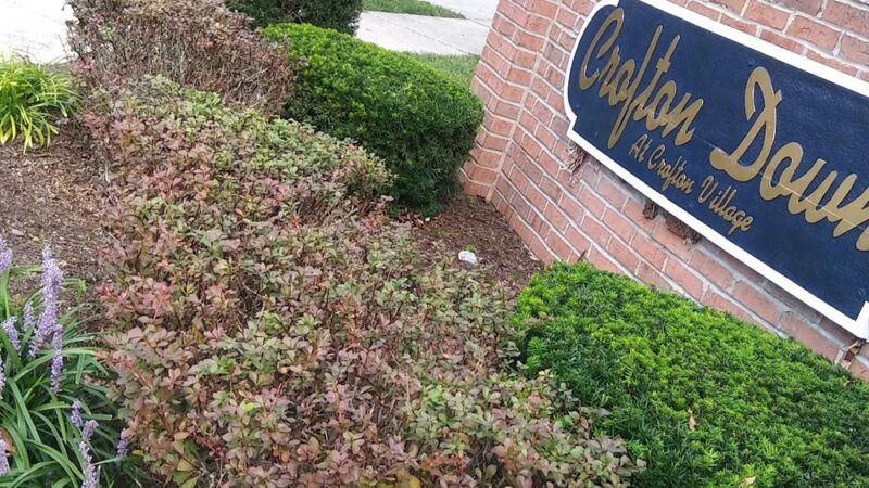 Crofton Downs Park - Crofton, MD