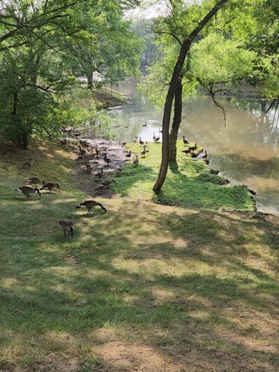 Crofton Pond Park - Crofton, MD