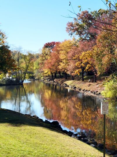 Crofton Pond Park - Crofton, MD