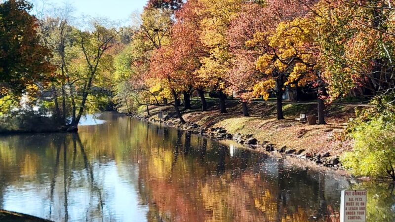 Crofton Pond Park - Crofton, MD
