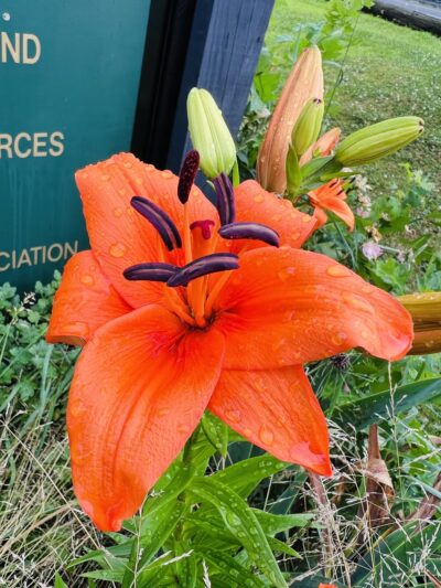 Croydon Acres Park (Bristol Township) - Croydon, PA