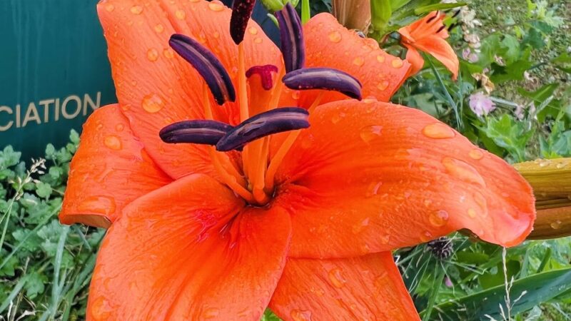 Croydon Acres Park (Bristol Township) - Croydon, PA