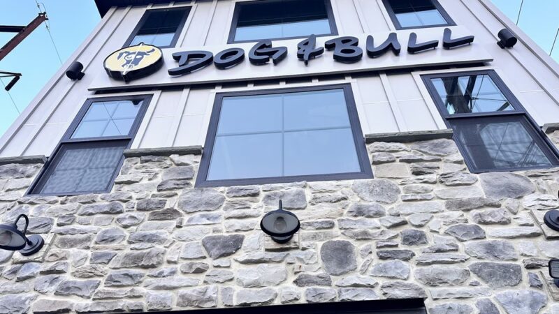 Dog & Bull Taphouse and Kitchen - Croydon, PA