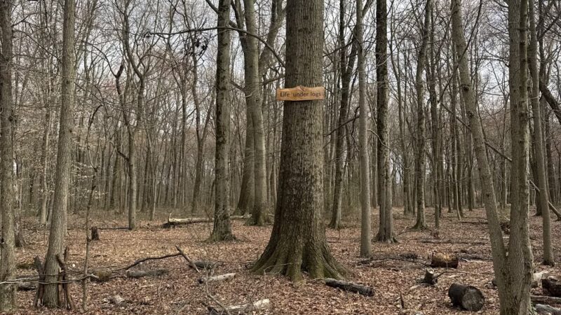 Heritage Conservancy Croydon Woods Nature Preserve - Croydon, PA