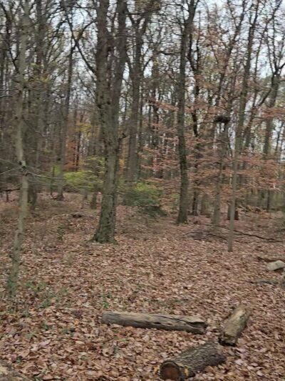 Heritage Conservancy Croydon Woods Nature Preserve - Croydon, PA