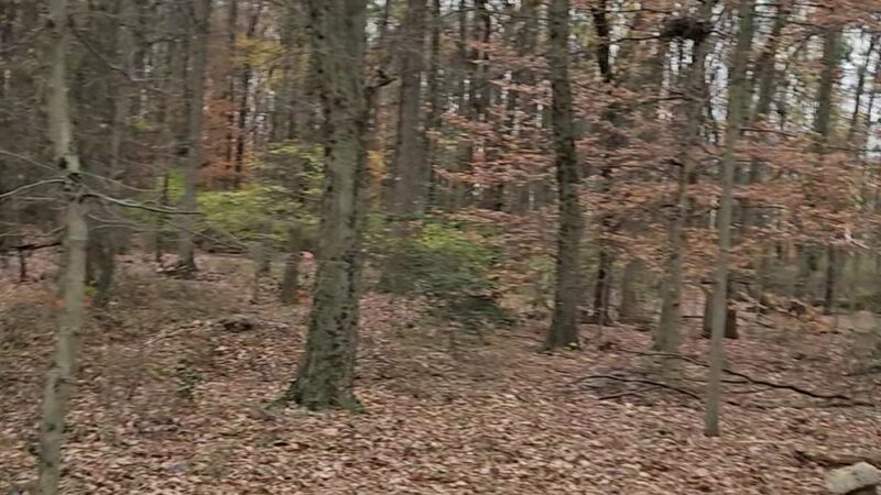 Heritage Conservancy Croydon Woods Nature Preserve - Croydon, PA