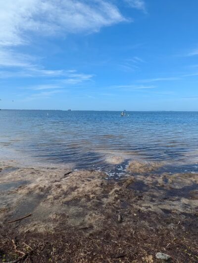 Gulf Shore Park - Crystal Beach, FL