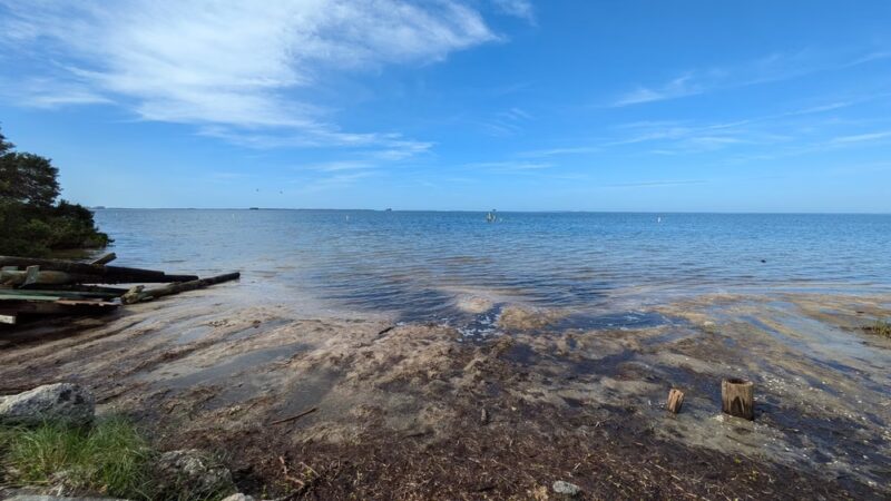 Gulf Shore Park - Crystal Beach, FL