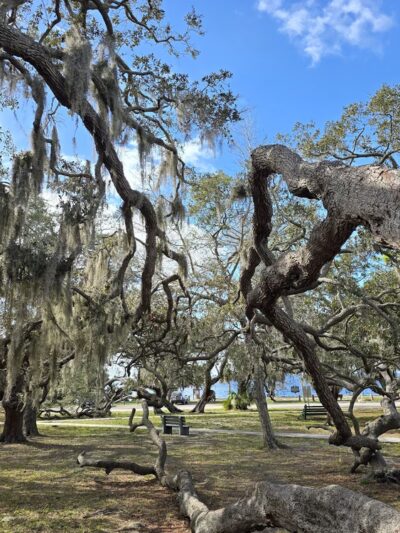 Gulf Shore Park - Crystal Beach, FL