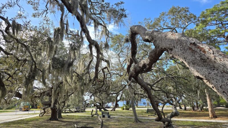 Gulf Shore Park - Crystal Beach, FL