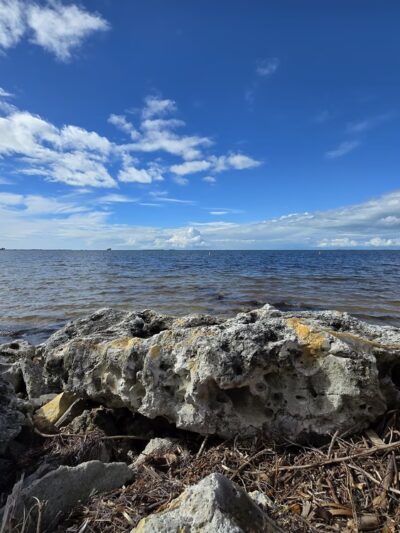Gulf Shore Park - Crystal Beach, FL