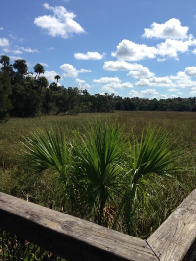 Crystal River Preserve State Park - Crystal River, FL
