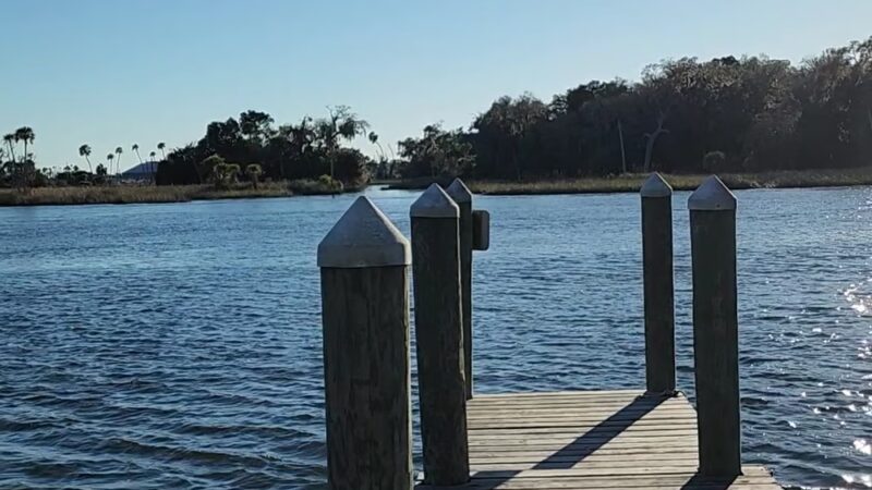 Crystal River Preserve State Park - Crystal River, FL