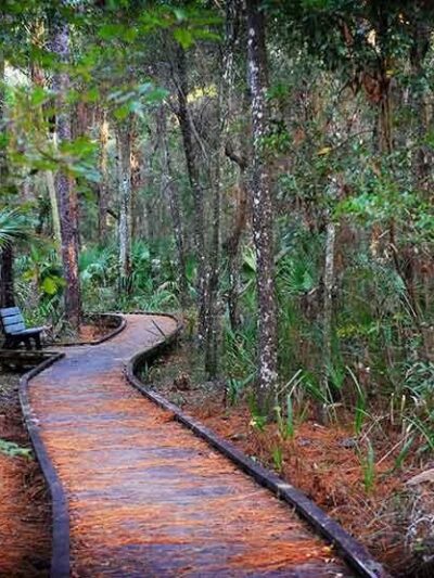 Crystal River Preserve State Park - Crystal River, FL